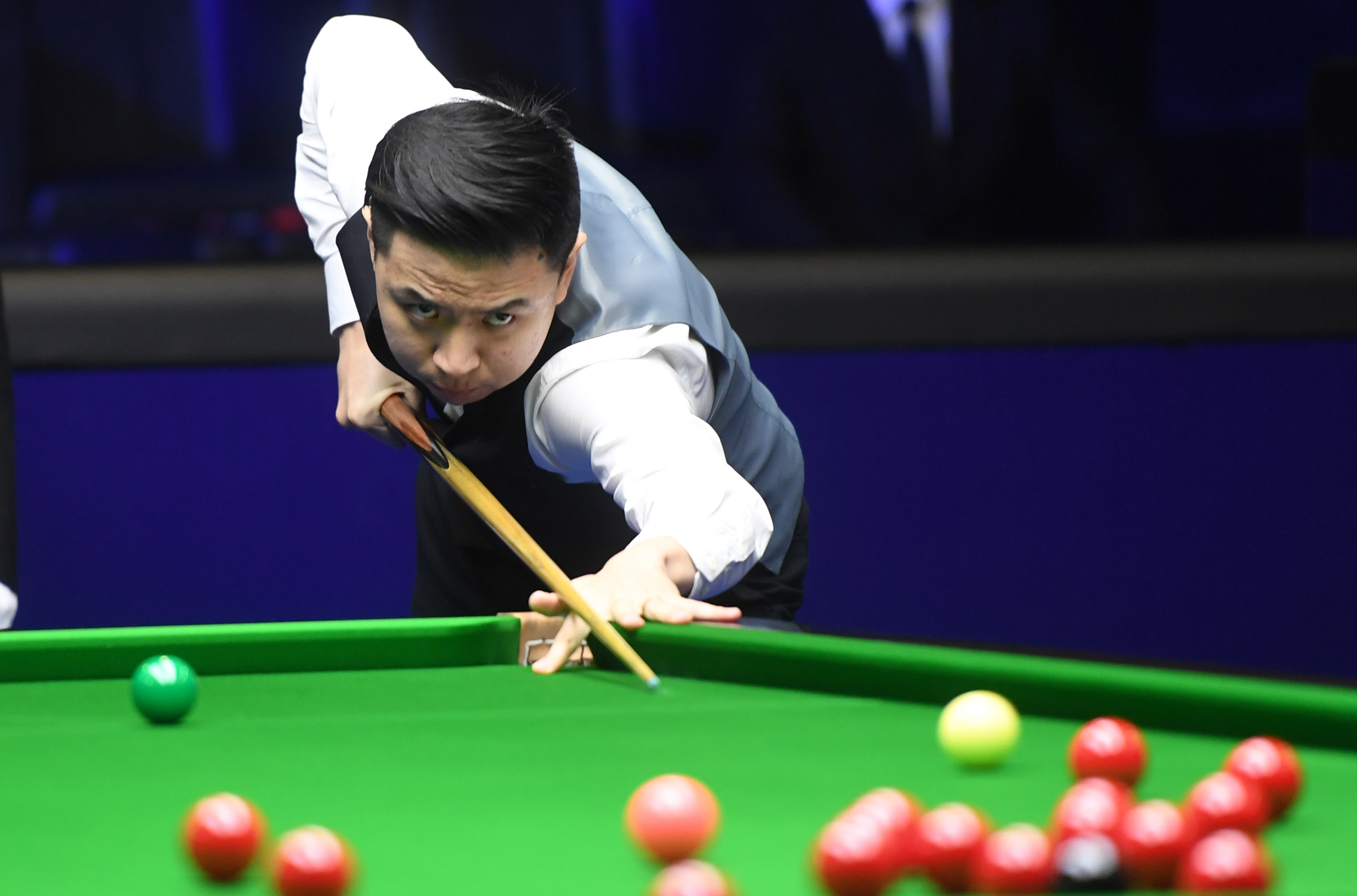 逐步建立起 逐步建立起