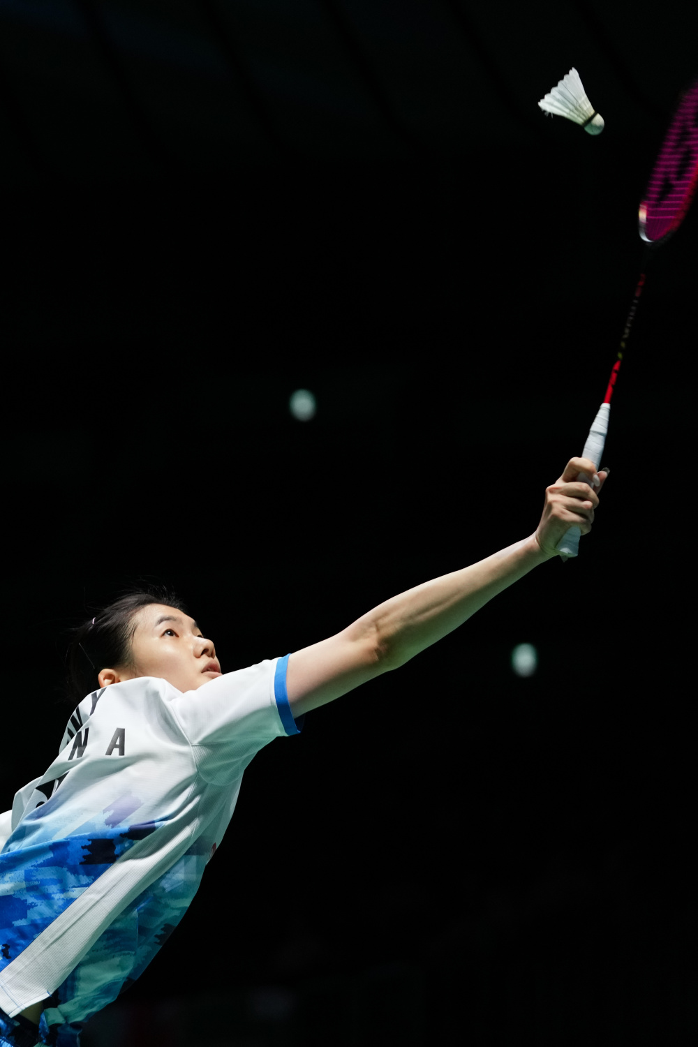 的年轻球员 的年轻球员